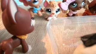 LPS  quotZakręceniquot 14 Littlest Pet Shop [upl. by Ioj108]