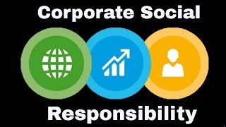 What is CSR Corporate Social Responsibility Explained in Hindi [upl. by Aztinaj795]