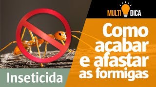 Como afastar e eliminar as formigas da sua casa [upl. by Daffodil326]