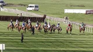 BHS Charity Race at Newbury Racecourse [upl. by Dnomde728]