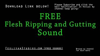 Flesh Ripping and Gutting Free Sound Effect Various Versions [upl. by Celinka]