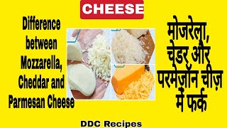 Difference between Mozzarella Cheddar and Parmesan Cheese  Basic Difference cheese  DDC Recipes [upl. by Roderic]