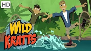 Wild Kratts  Animals Make a Splash 💦  Kids Videos [upl. by Uda]