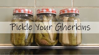 Pickling amp Preserving🥫Pickle Your Gherkins [upl. by Lavery]