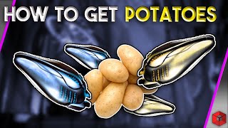 How to get Potatoes  Orokin Catalyst and Reactor  Warframe [upl. by Leshia]