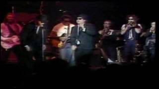 The Blues Brothers Live Video  Soul Man [upl. by Flessel]