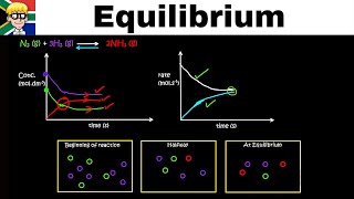 Equilibrium Graphs grade 12 Introduction [upl. by Kath]