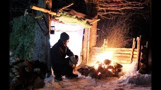 Building Our Bushcraft Shelter  Full Build [upl. by Ramat]