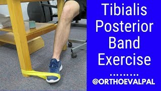 Tibialis Posterior strengthening exercise with a band [upl. by Maloy]