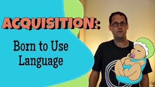 Language Acquisition and Universal Grammar [upl. by Akimas329]