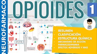 OPIOIDES ESCALERA TERAPEUTICA RESUMEN Clasificaciones Estructura Receptores Farmacología 1 [upl. by Swarts]