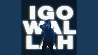 Igowallah [upl. by Eninnaej980]