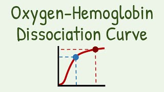 Oxygen Hemoglobin Dissociation Curve [upl. by Darrill]