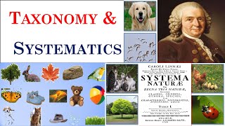 Taxonomy  Systematics  Carolus Linnaeus  Part 1 [upl. by Fortin]