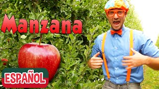 Blippi Español Tour por la Fábrica de Manzanas  Frutas para Niños [upl. by Kopans]