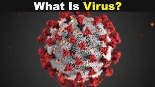 What Is Virus  Type of viruses UrduHindi [upl. by Sou]