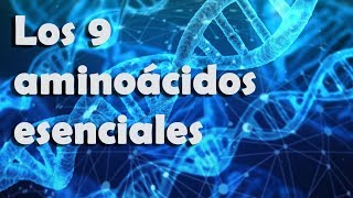 Los 9 aminoácidos esenciales [upl. by Ynotna253]