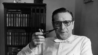 Radioscopie  Georges Simenon 1982 [upl. by Lesnah727]