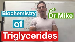 Fatty Acids Glycerol and Lipids  Biochemistry [upl. by Kremer]