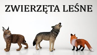 ZWIERZĘTA LEŚNE [upl. by Benedick]