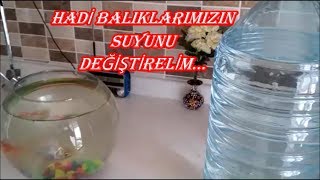 BALIKLARIN SUYU NASIL DEĞİŞTİRİLİR TÜM AYRINTILARI İLE İZLE [upl. by Mota]