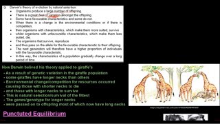 Grade 12 Life Sciences Evolution Part 2 [upl. by Lessig]