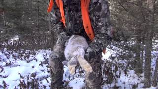 Just Outdoors  Hunting Snowshoe Hares [upl. by Harol319]