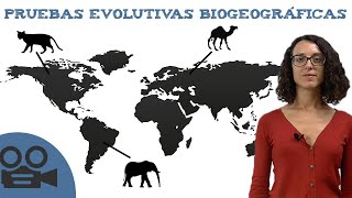 Pruebas evolutivas biogeográficas [upl. by Yelha901]