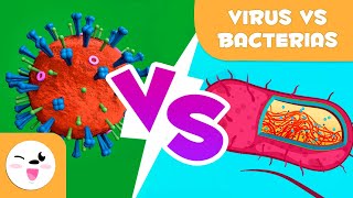 Virus vs bacterias  ¿Cuáles son sus diferencias [upl. by Ericha354]