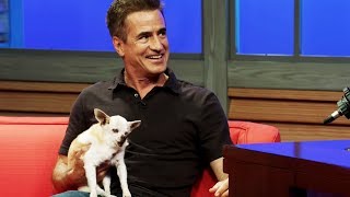 Meet Dermot Mulroney’s 22YearOld Chihuahua [upl. by Shirl]