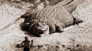 TOP 10 LARGEST CROCODILES In The World [upl. by Nehtiek863]