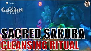 Complete Guide Cleansing Defilement  Sacred Sakura Cleansing Ritual Part1  Genshin Impact [upl. by Libby]