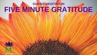 Breathing Exercises with Guided Meditation  5 Minutes  TAKE A DEEP BREATH [upl. by Alleusnoc]