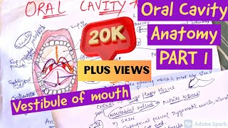 Vestibular apparatus inner ear anatomy [upl. by Naryt]