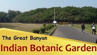 quotIndian Botanical Gardenquot The Great Banyan  Howrah  West Bengal Tourism [upl. by Gillette]