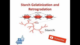 Starch Gelatinization and Retrogradation  Food Technology [upl. by Mayman]