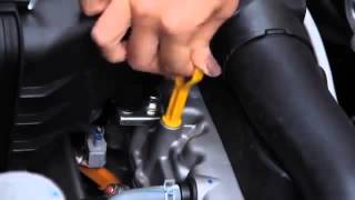 How to check your Suzukis engine oil [upl. by Weinberg]