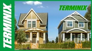 Protect Home From Termites  Terminix Commercial [upl. by Nollid715]