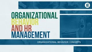 Organizational Behavior and Human Resource Management [upl. by Andryc278]