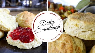 Sourdough Biscuits  Flaky Buttered Biscuits  Daily Sourdough [upl. by Sletten660]