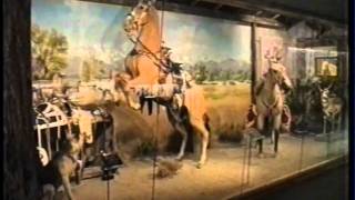 THE ROY ROGERS MUSEUM [upl. by Yddet]