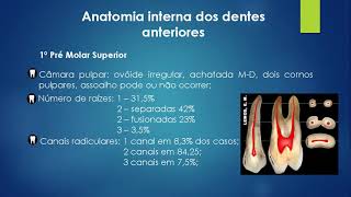 Aula 1 Endodontia  Anatomia dos canais radiculares [upl. by Brinna378]