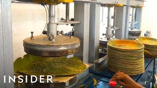 How Leaves Are Made Into Biodegradable Plates [upl. by Suolekcin393]