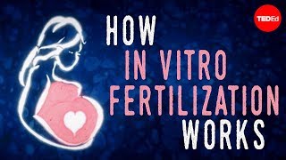 How in vitro fertilization IVF works  Nassim Assefi and Brian A Levine [upl. by Nicodemus]