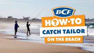 How to Catch Tailor  Beach Fishing [upl. by Naujat]