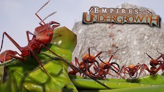 THE ANT COLONYS FINAL STAND  Empires Of The Undergrowth  Ep18 [upl. by Anaid]