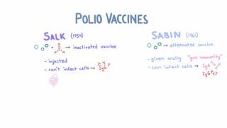 Polio Vaccines  Salk vs Sabin [upl. by Durgy]