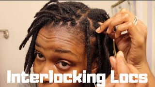 InterlockingLocs How I Interlock My Locs  Retightening Traditional Locs [upl. by Herm]