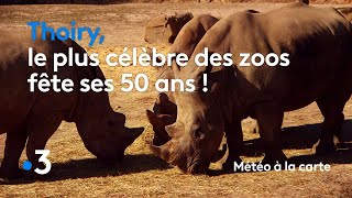 Thoiry le plus célèbre des zoos fête ses 50 ans   Météo à la carte [upl. by Mccreery]