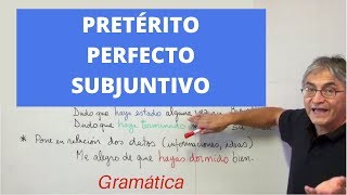 Pretérito perfecto de subjuntivo [upl. by Christianity]